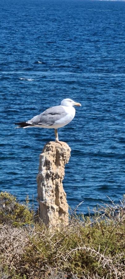 75 Avinguda De Murcia Santa Pola Εξωτερικό φωτογραφία